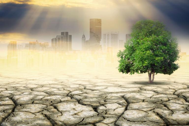 A green tree stands on dry, cracked earth with a hazy city skyline in the background under a partly cloudy sky with sun rays.