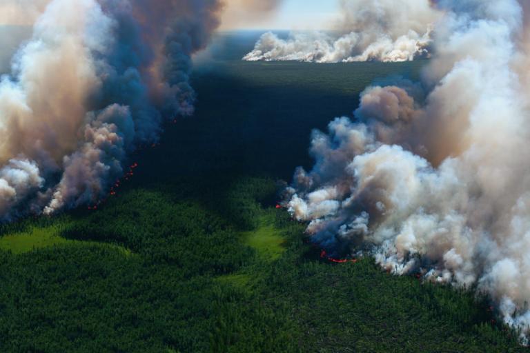 Aerial view of a large forest fire with thick smoke and flames spreading through dense green trees.