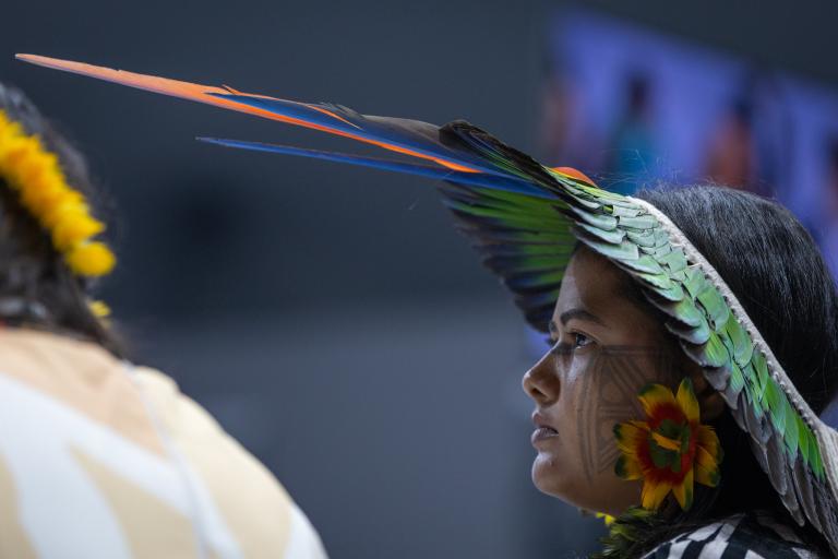 A woman wearing a feathered headdress and yellow flower earrings, with traditional face paint, is shown in profile against a blurred background.
