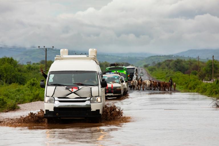 Several vehicles drive through a flooded rural road, while a herd of cattle is being guided in the same direction under a cloudy sky.