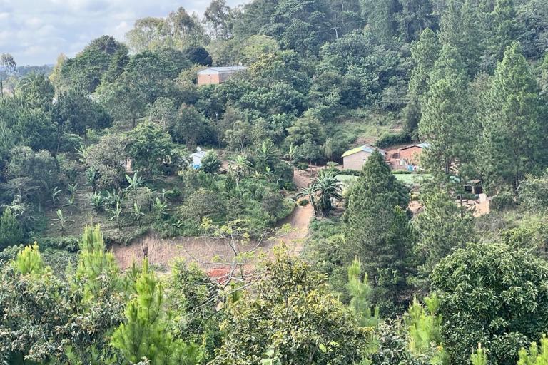 A small rural settlement with several houses is nestled among dense, green trees and plants on a hillside under a partly cloudy sky.