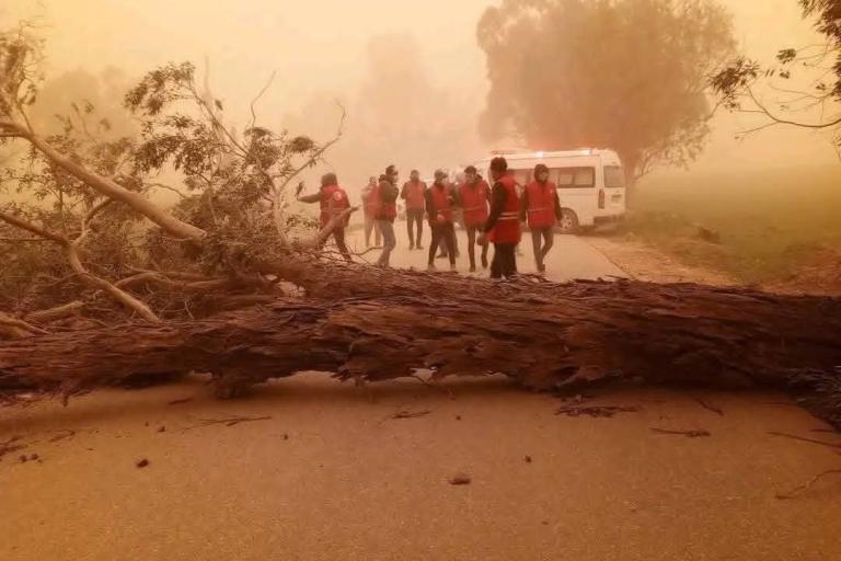 A fallen tree blocks a road as several people in red uniforms stand nearby with an emergency vehicle in smoky conditions.