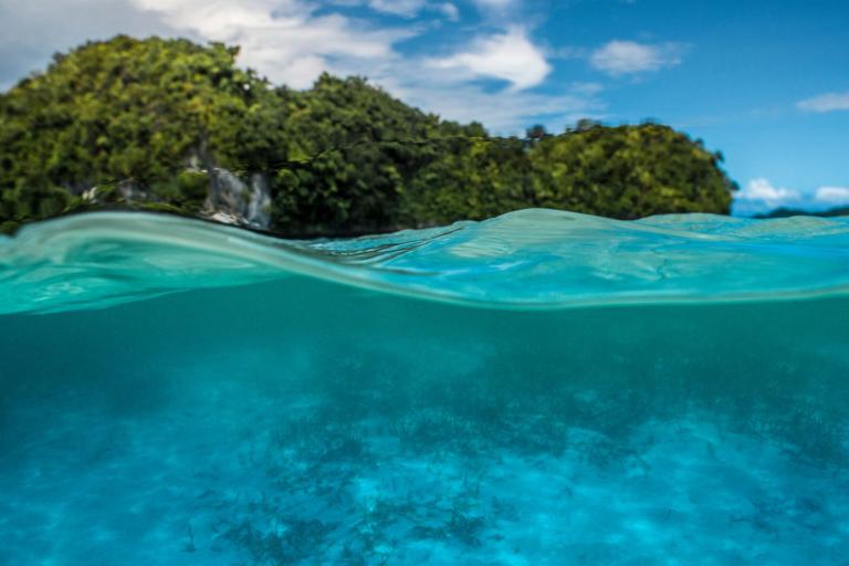 A split-level view of clear blue ocean water with an underwater scene below and green, tree-covered islands and a cloudy sky above the surface.