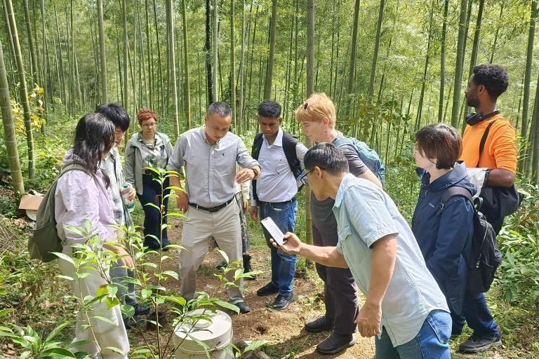A group of people stand in a bamboo forest, observing a man in the center who appears to be explaining or demonstrating something near a cylindrical object on the ground.