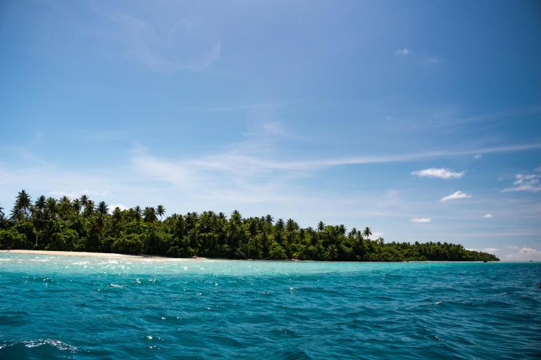 Tropical island with dense green palm trees, sandy beach, and clear blue ocean under a sunny sky.