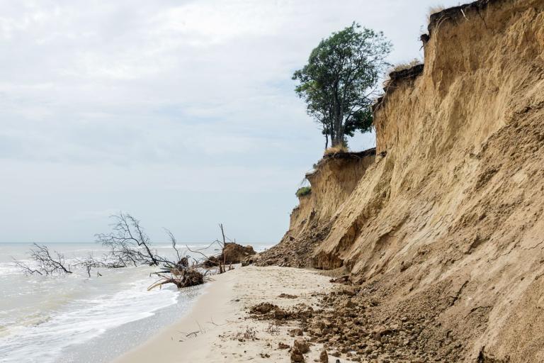 Eroded sandy cliffs with a single tree at the top, fallen trees on the beach, and the ocean in the background under a cloudy sky.