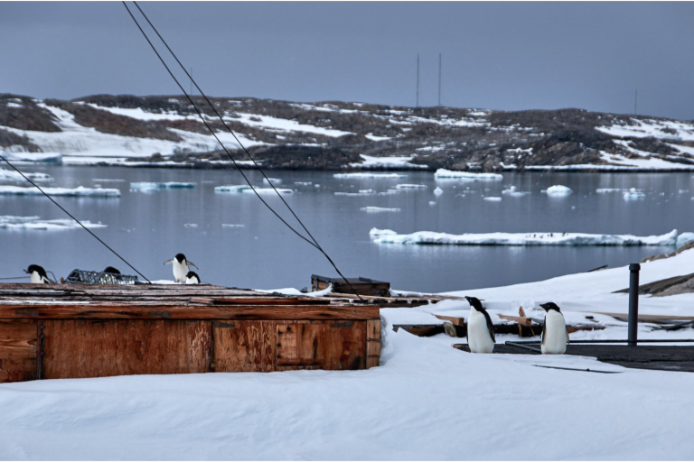 Photo caption (above): Antartica - abandoned Wilkins Base and Observing Station (courtesy Sue Barrell, Australia)