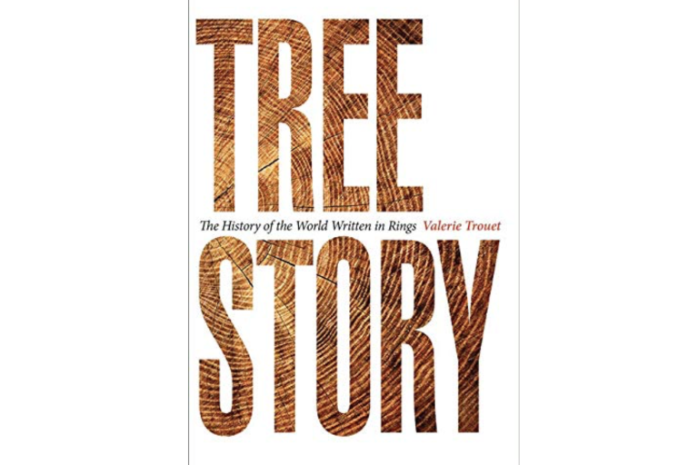 Tree Story Book