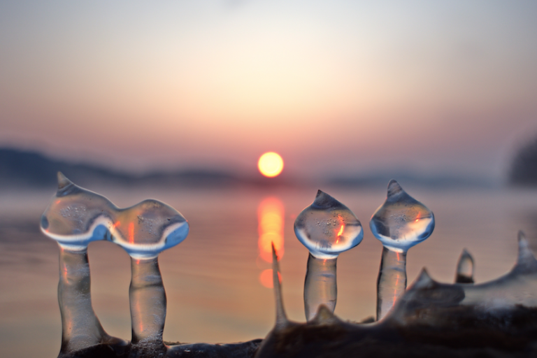 Water and Peacebuilding