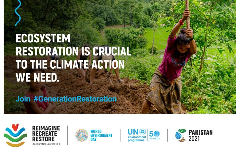 World Environment Day focuses on ecosystem restoration