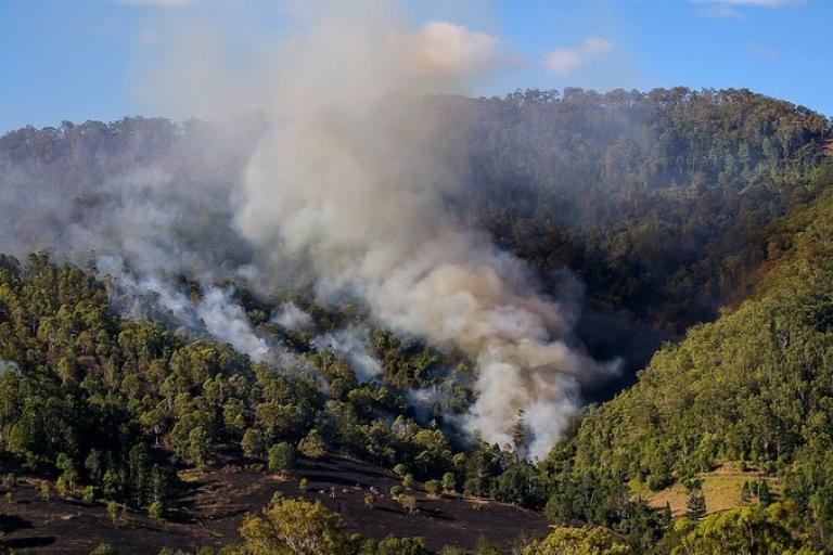 Wildfire risk set to increase: UNEP