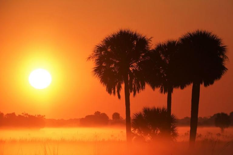 Credit: WMO Calendar 2021 - Paul Strauss (USA) Location: Okeechobee County, Florida