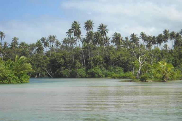 New project scales up early warning systems in the Pacific