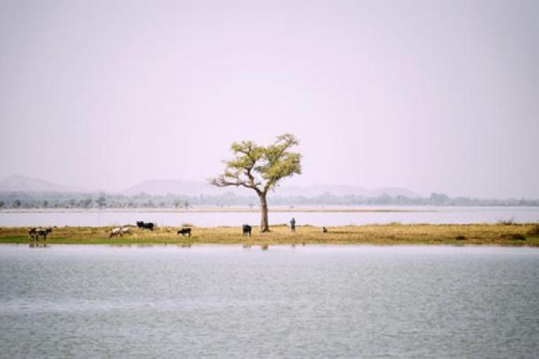 State of Climate in Africa