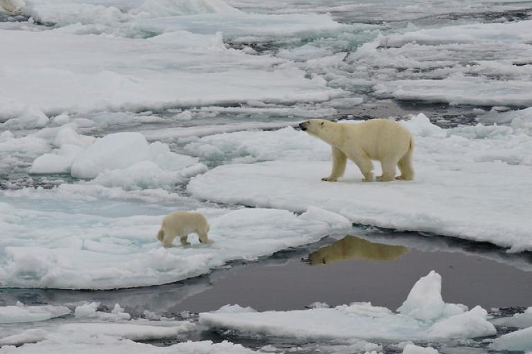 NorthPole2018