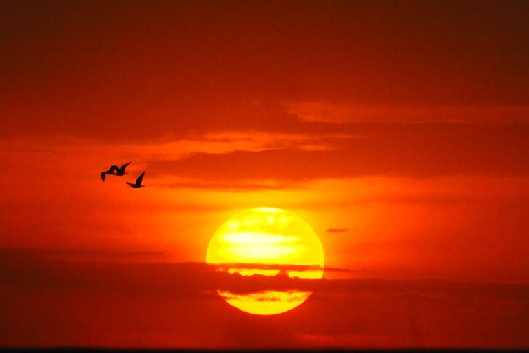 Climate in June. 3rd warmest on record