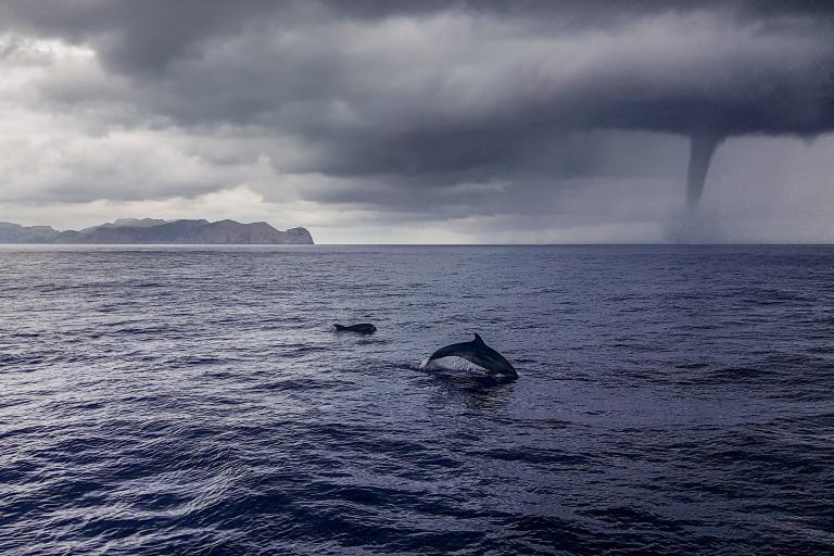 UN Ocean conference. Turn the tide