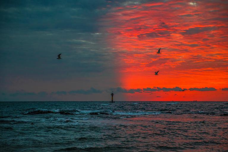 Ocean conference ends with call for action.