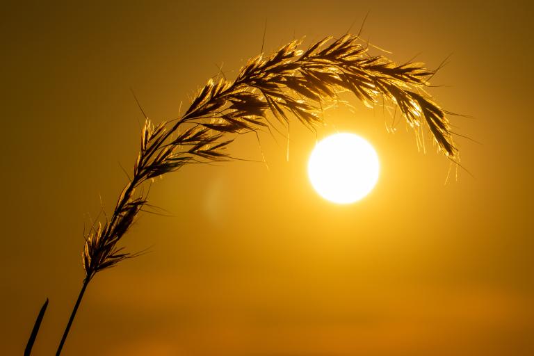 Photo taken by Goran Grudić