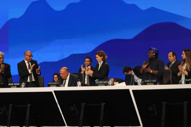 COP 27 - Credit: Kiara Worth, UNFCCC