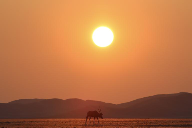 Photo by: Tim Gray, The Sossusvlei area of Namibia, WMO 2023 calendar competition