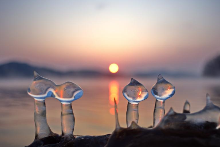 World Water Day 2020