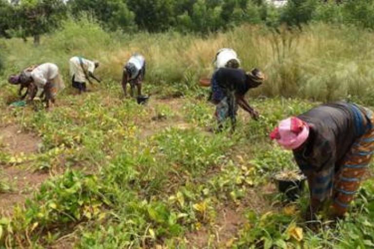 ECOWAS support for Hydromet