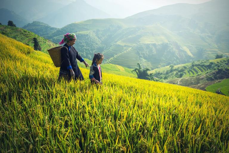 Enhancing Early Warning Systems in Cambodia and Lao People’s Democratic Republic