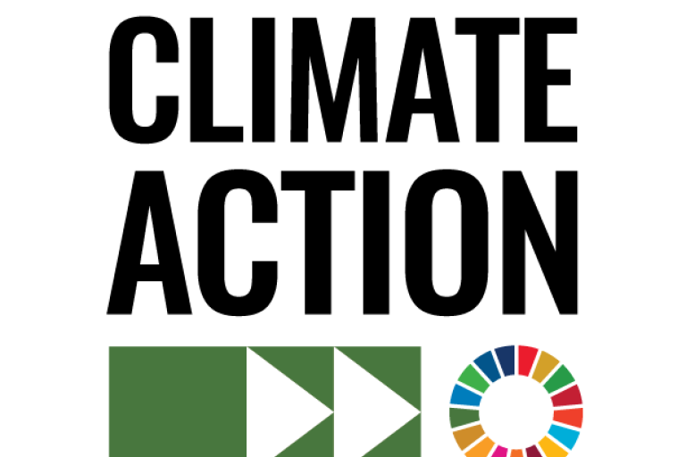UNGA75 focus on climate action
