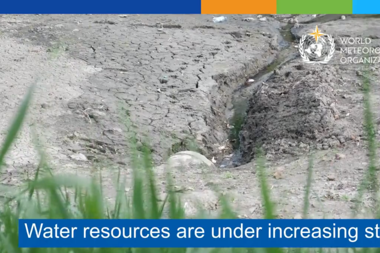 WMO endorses Water Declaration, including the Water and Climate Coalition