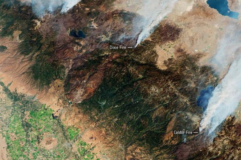 Wildfires in northern hemisphere summer 2021