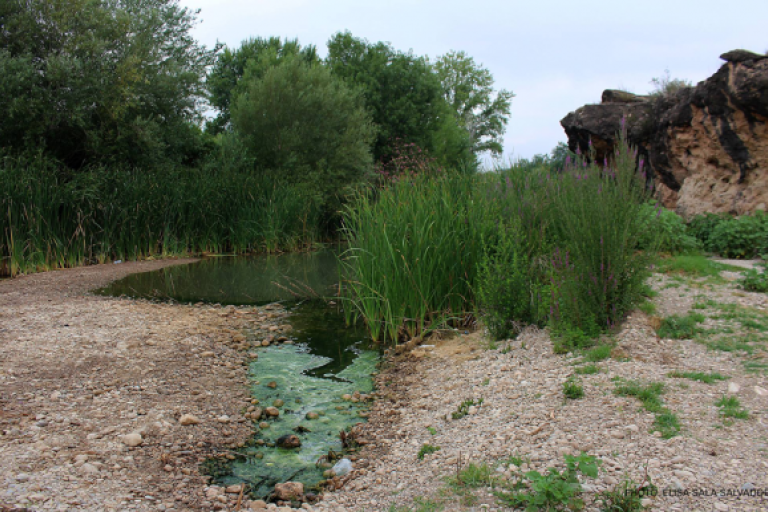 HydroSOS_Photo_ElisaSalaSalvador