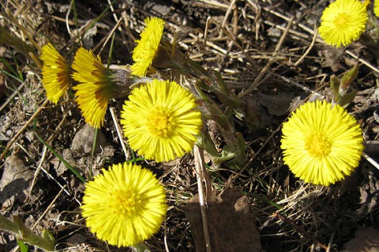 Photo: Eija Vallinheimo