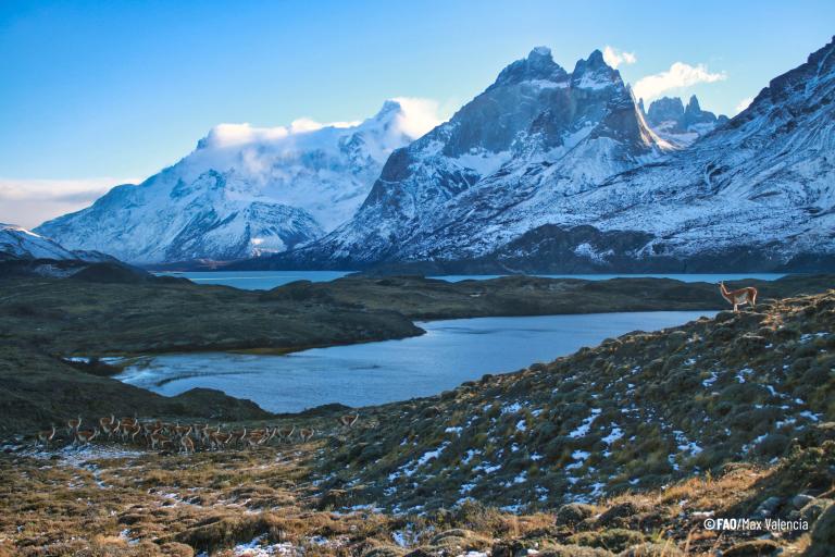 State of the Climate in Latin America and the Caribbean 2021 
