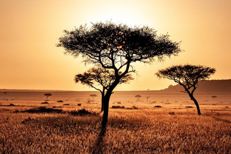 Courtesy of Pixabay.com