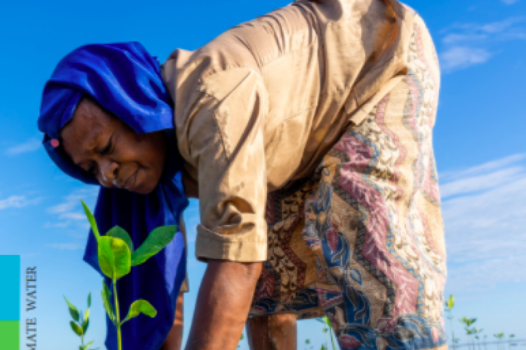 Climate Science for Climate Action