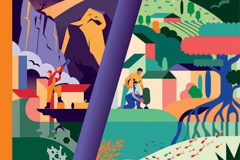 Step up climate change adaptation - UN report