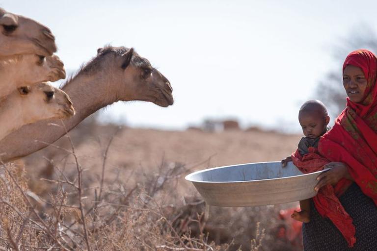 Drought grips Horn of Africa