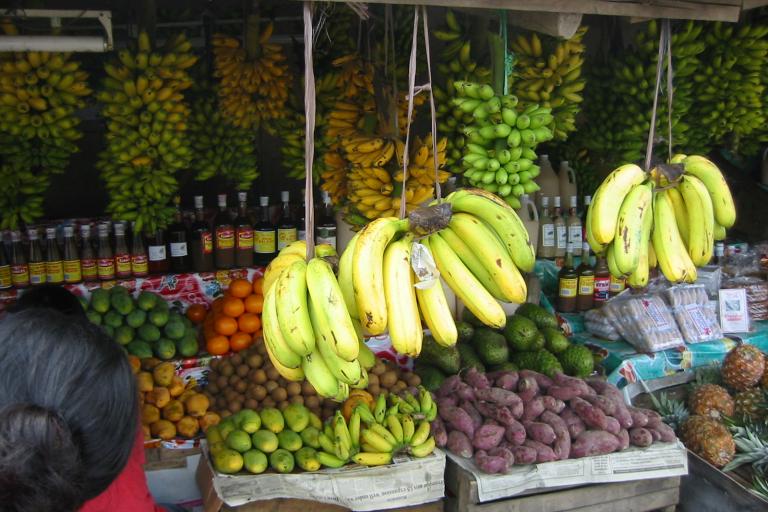 WMO supports project to aid agriculture in South East Asia