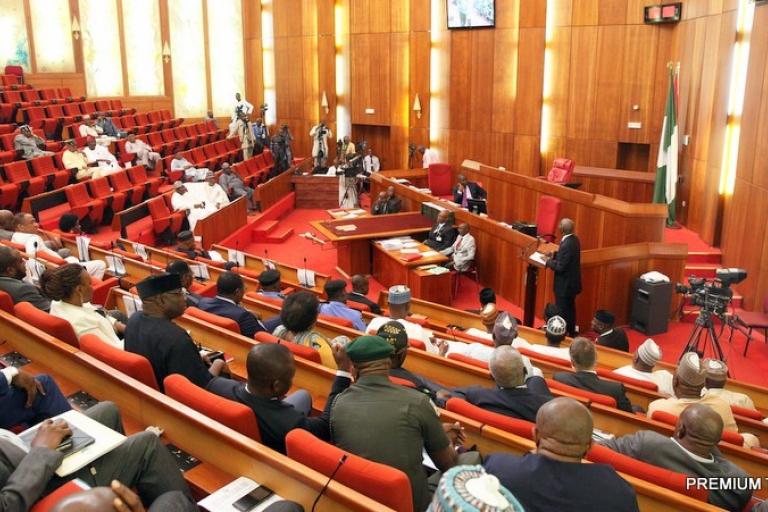 Picture: Courtesy Premium Times©