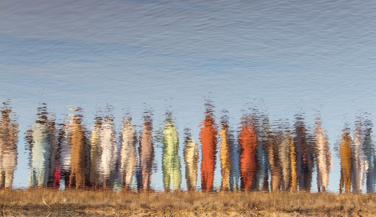 A group of people standing next to a body of water.