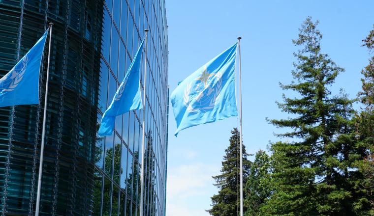Three blue flags with a white emblem fly outside a modern glass building, with tall green trees and a blue sky in the background.