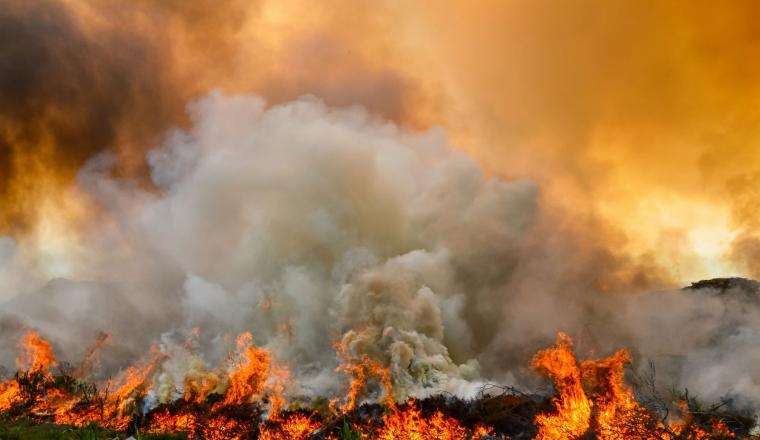 Large wildfire with thick smoke billowing into the air, flames burning through vegetation, and an orange sky in the background.