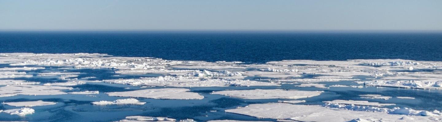 Ice floes floating on a vast ocean under a clear blue sky, showcasing a polar seascape.