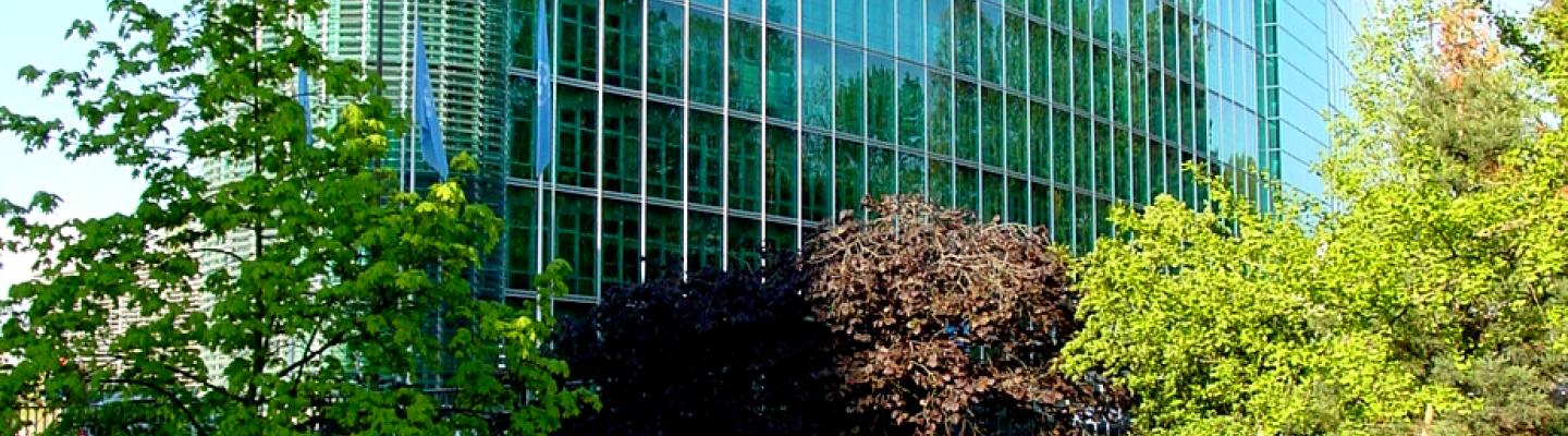 Modern glass-facade office building with a curved edge, viewed from a grassy slope with trees.