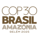 WMO at COP30