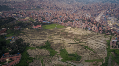 Aerial view of patchwork rice fields in the foreground with a densely packed urban area stretching into the distance.
