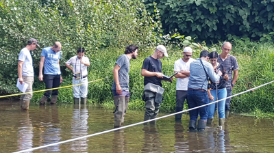 Group of people conducting fieldwork in a stream.