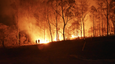 Firefighters confront a large forest fire at night.