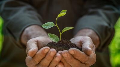 Hands holding a small plant seedling with soil, symbolizing growth and nurturing.